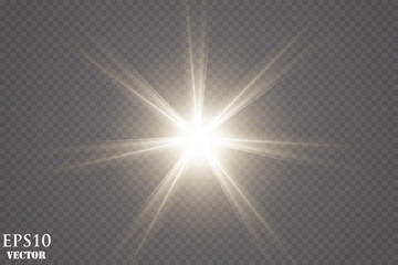 Vector transparent sunlight special lens flare light effect.