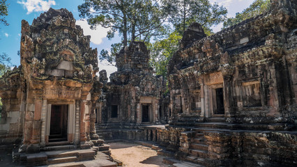 Photos from the ruins of Ankor Wat