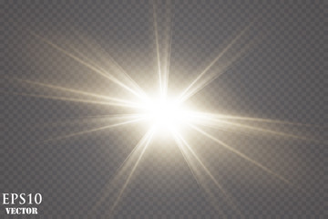 Vector transparent sunlight special lens flare light effect.
