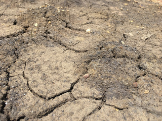 Top view closeup weathered texture and background of arid cracked ground. Broken dried mud from arid problem. Global warming crisis. Agricultural land without water. Climate change.