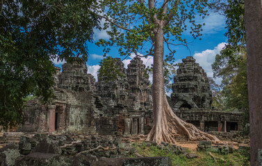 Photos from the ruins of Ankor Wat
