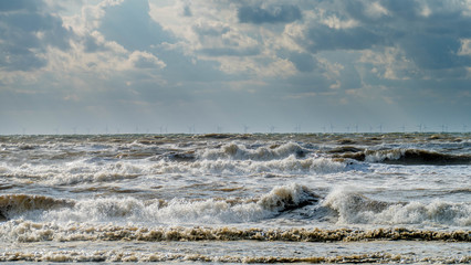 View of the calm North Sea, Netherlands