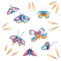 Obraz premium set of butterflies, dragonfly. Illustration in purple hand drawing