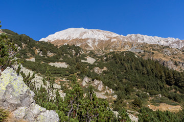 Fototapeta premium Landscape with Vihren Peak, Pirin Mountain