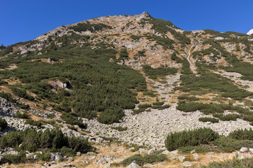 Fototapeta na wymiar Landscape of Banderitsa River Valley, Pirin Mountain