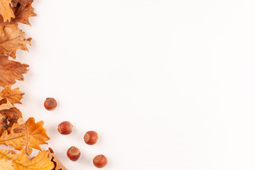 Top view of autumn style copy space with yellow oak leaves and whole hazelnuts on the side. Fall season ecology concept on white background.