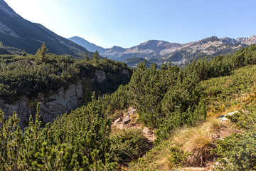 Naklejka na ściany i meble Landscape of Banderitsa River Valley, Pirin Mountain