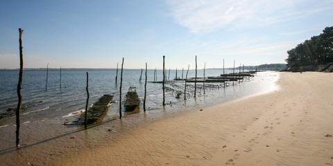 oyster park in low tide Arcachon basin France