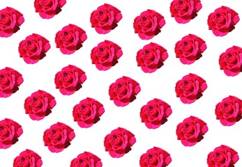 seamless pattern with red roses