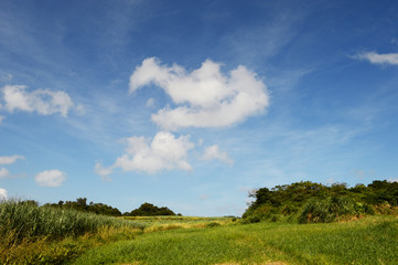 Fototapeta na wymiar 青空と雲と草原