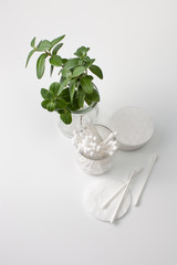 Cotton buds in a jar, cotton pads and a sprig of green