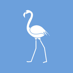 Obraz premium Exotic tropical bird flamingo.