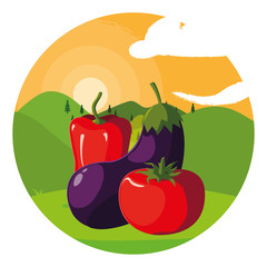 Isolated vegetables set vector design