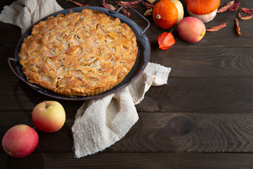 Homemade apple pie on vintage tray, apples, physalis, pumpkins and dry leaves on wooden dark brown background.