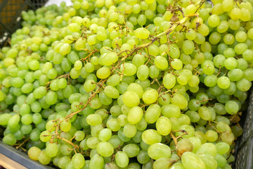 Fragrant and juicy grapes on the counter and in a wooden contain