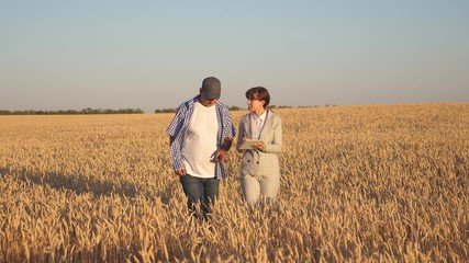 farmer sells wheat grain to business woman. business woman with tablet and farmer teamwork in a wheat field. Business woman and agronomist checks the quality of grain in field. Harvesting cereals.