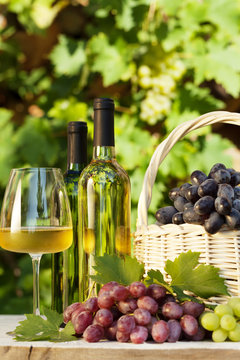 Colorful grapes and white wine