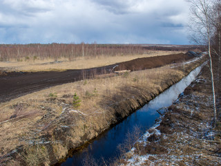 landscape with bog ditch, white birch trees and beautiful glare