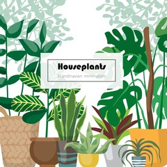 Collection of decorative houseplants isolated on white background. Bundle of trendy plants growing in pots or planters. Set of beautiful natural home decorations. Flat colorful vector illustration.