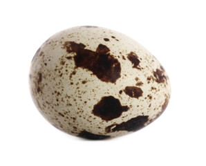 Quail egg isolated on white background