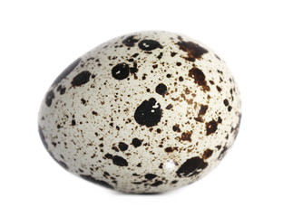 Quail egg isolated on white background