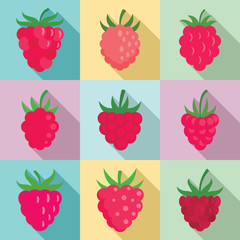 Raspberry icons set. Flat set of raspberry vector icons for web design