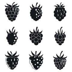 Garden raspberry icons set. Simple set of garden raspberry vector icons for web design on white background