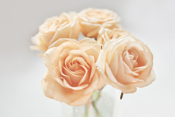 roses for mother's day, template card for March 8