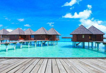 sea maldives.  tropical beach in Maldives