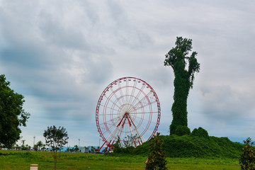 Ferris wheel and marvellous trees in Batumi
