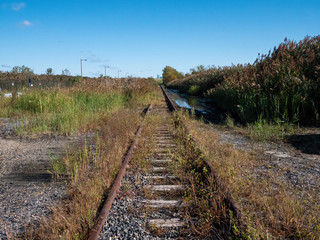 Fototapeta na wymiar Abandoned train tracks along the Delaware river - Philadelphia, PA / USA - September 29, 2019