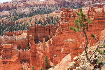  Bryce-Canyon-Nationalpark