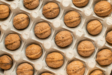 nuts on egg carton. view from above