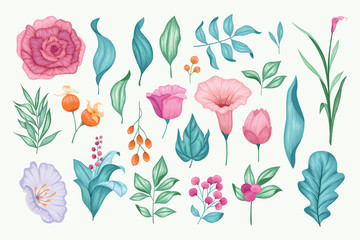 Beautiful vintage hand drawn floral vector collection