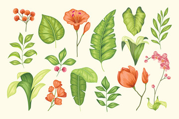 Beautiful vintage hand drawn floral vector collection