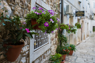 Obraz na płótnie Canvas A narrow street in the ancient city. Fragment of the stone wall of the building with hanging pots of flowers. Selective focus.