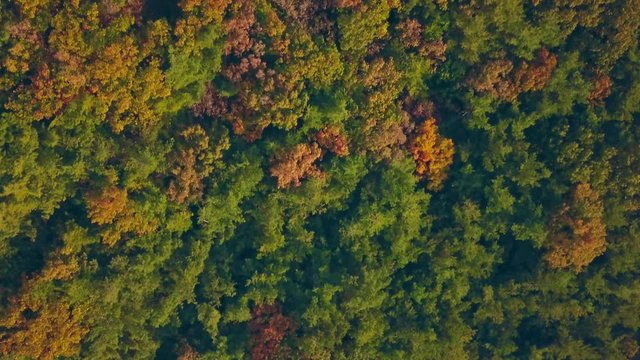 Aerial video of Gakwonsa temple during Autumn season, South Korea.