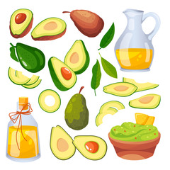Avocado on branch, fruits slices and oil. Vector flat cartoon illustration. Isolated vegetable icons and design elements