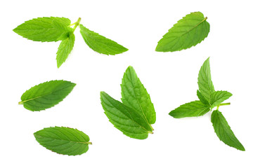 Obraz na płótnie Canvas Fresh mint leaves isolated on white background