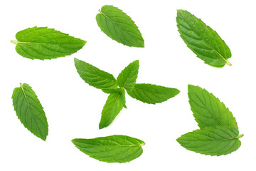 Naklejka na ściany i meble Fresh mint leaves isolated on white background