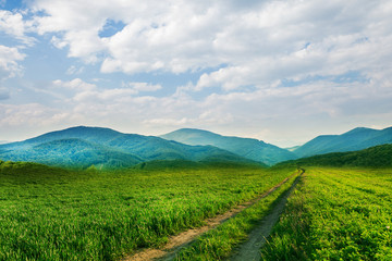 Mountain landscape. Beautiful green field