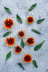 Gray background with fresh vibrant orange flowers and green leaves. Light texture with floral composition. Top view, flat lay. Autumn concept