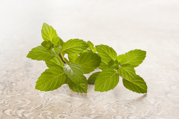 Fresh mint leaves.