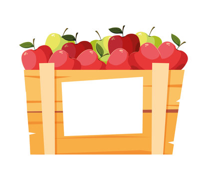 Isolated Apples Fruit Box Vector Design