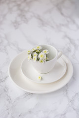 White plate, saucer and cup with flowers on a marble background. Minimalism.