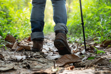 Traveler tourist hiker close-up shoes boots and hiking sticks poles. man tourist hikers walking in forest steps trail on a log timber with sunshine. travel concept.