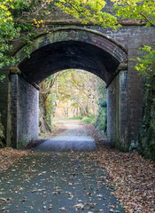 Fototapeta na wymiar Path through arch bridge