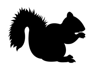 Squirrel black silhouette vector illustration