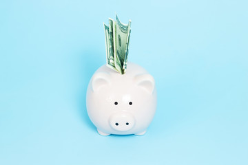 Piggy bank money on blue background