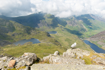 Three mountain lakes view from Tryfan summit in the Snowdonia National Park, Wales.
